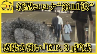 新型コロナ“第11波” 変異株「KP3」が猛威 強い感染力で短時間でも感染しやすい 専門家が警鐘 [upl. by Catima539]