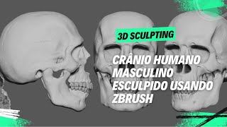 Esculpindo Crânio Humano Usando Zbrush  Parte 1 [upl. by Oab]