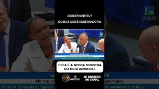 E as queimadas ministra marinasilva ministros governo lula bolsonaro podcast noticias [upl. by Rahman]