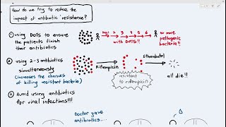 109 Impact of Antibiotic Resistance and How to Reduce it Cambridge AS A Level Biology 9700 [upl. by Ellegna]