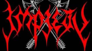 Impiety  Morbid Visions Sepultura Cover [upl. by Atteuqaj]