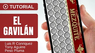 El Gavilán  Acordeón Mezquite  Tutorial Facil [upl. by Dnalyar]