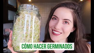 CÓMO HACER BROTES DE LENTEJA Y QUINOA EN CASA 🌱 [upl. by Ailed]