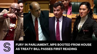 Fury in Parliament MPs booted from House as Treaty Bill passes first reading  Stuffconz [upl. by Groome]