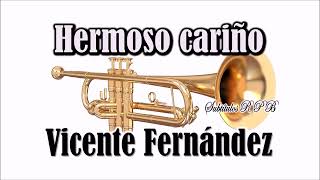 hermoso cariño  Vicente Fernández  karaoke [upl. by Austin]