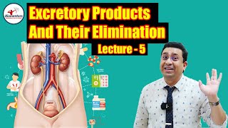 Excretory Products amp Their Elimination l Lecture 5 l Biology l NEET [upl. by Anitsrik]