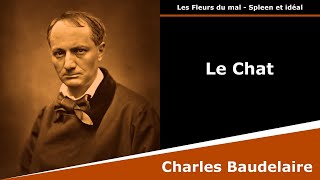 Le Chat  Les Fleurs du mal  Sonnet  Charles Baudelaire [upl. by Dyolf]