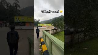 කවුද වැරදි  😰 accident srilanka carefull dangerous travel shorts norton [upl. by Geerts404]