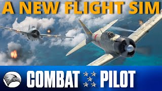 Combat Pilot  A New Flight Simulator to enter the market [upl. by Norreg]