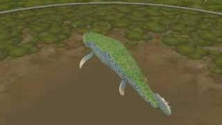 Tiktaalik [upl. by Tsnre]