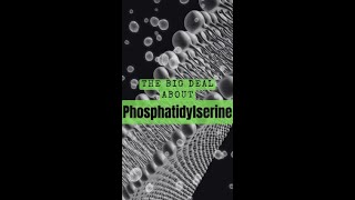 What is Phosphatidylserine [upl. by Warrenne]