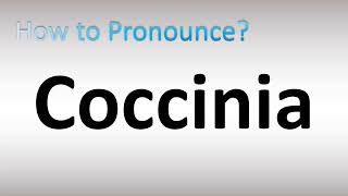 How to Pronounce Coccinia [upl. by Elum725]