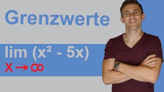 Grenzwertbetrachtung  Kurvendiskussion 4  Grenzwerte leicht finden  mit LimesSchreibweise  lim [upl. by Orelee]