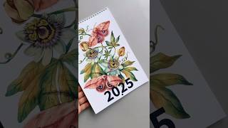 calendar artcalendar illustrated watercolorpainting butterfly moth flowers [upl. by Lunsford890]