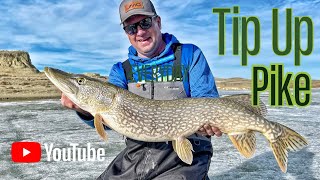 Tip Up Pike Fishing  Fort Peck Montana [upl. by Seditsira267]