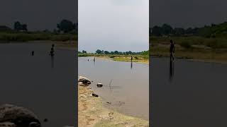 FisherMens in Palar River near Thirumukkudal Kanchipuram Support me by subscribe Friends 👻 love [upl. by Naenej979]