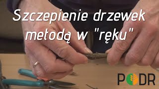 Szczepienie drzewek metodą w quotrękuquot [upl. by Llerref]