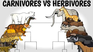 CARNIVORES VS HERBIVORES TOURNAMENT  ANIMATION [upl. by Carlen]