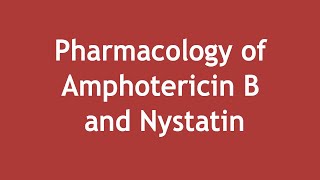 Pharmacology of Amphotericin B and Nystatin ENGLISH  Dr Shikha Parmar [upl. by Ofelia]