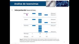 Isoenzimas  Parte 2 [upl. by Ania796]