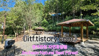 생거진천 자연휴양림 캠핑장Jincheon Natural Rest Forest [upl. by Franklyn]