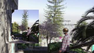 Desarraigo del LP Catarsis 2024 [upl. by Helbonnah477]