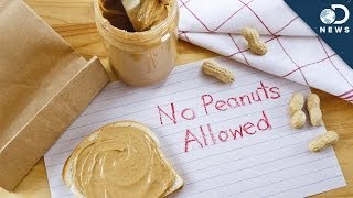 Why Are Peanut Allergies Becoming So Common [upl. by Donalt407]