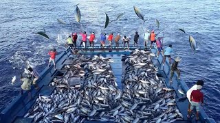 Unbelievable With Just a Fishing Rod Fishermen Catch Hundreds of Tons Tuna on The Boat [upl. by Macey590]