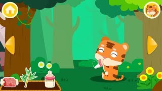 Care for Baby Tiger  Little Animal Care  Learn Animals  BabyBus Game [upl. by Nored]