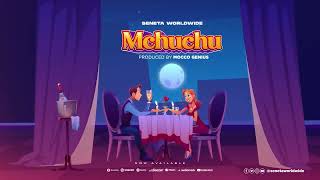 Mchuchu Official Audio Visualizer [upl. by Verna34]