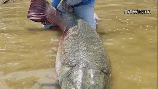 Massive alligator gar caught in Texas breaks world record [upl. by Retsehc]