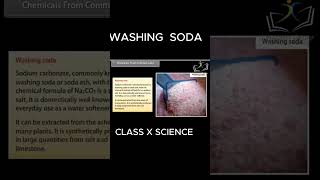 Class 10 Science Acids Bases and Salts I WASHING SODA [upl. by Agem449]