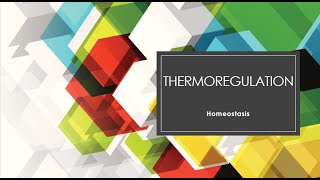 Thermoregulation in animalsthermoregulation in cold season endotherm heterotherm ectotherm [upl. by Mirelle]