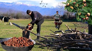 Wild Medlar Fruit Harvesting in the Forest  Easy Dumplings Soup Recipe [upl. by Sandi]