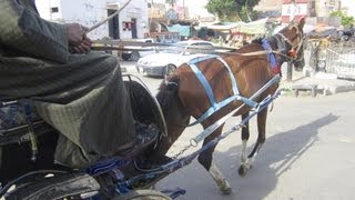 Tour de calèche à Louxor Egypte  Full HD [upl. by Marya671]