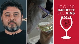 Dans les coulisses du Guide Hachette des Vins 2019 [upl. by Hayikat]