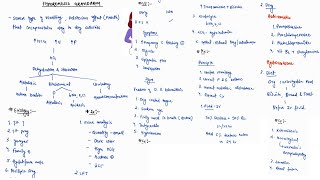 HYPEREMESIS GRAVIDARUM NOTES  OBSTETRICS  ONE PAGE NOTES  4TH PROFF  MBBS  OBGY [upl. by Leicam]