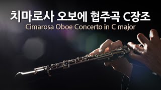 치마로사 오보에 협주곡 C장조  Cimarosa Oboe Concerto in C major  하인츠 홀리거 오보에  Repeat 2 times [upl. by Enimasaj]