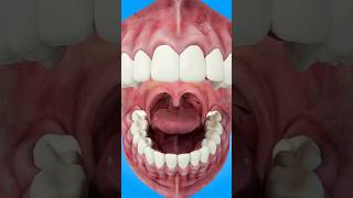 How Tonsil Stones Are Formed short tonsilstones  creativelearning3d [upl. by Hayouqes]