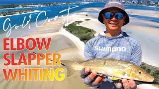 Whiting Fishing Gold Coast Broadwater [upl. by Howard]