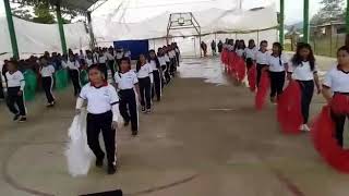 Desfile 20 de Noviembre 2018 Tabla Rítmica [upl. by Arimak]