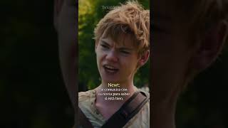 POV GALLY X TN mazerunner themazerunner gally willpoulter pov mazerunneredit [upl. by Areek]