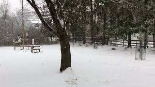 Snow falling 1000 AM EST Friday January 19 2024 Ewing Township New Jersey [upl. by Aikar]