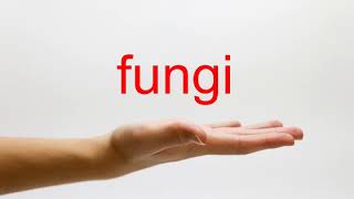 How to Pronounce fungi  American English [upl. by Mcmaster]