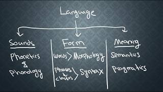 SEMANTICS1 What is Semantics [upl. by Tamsky604]