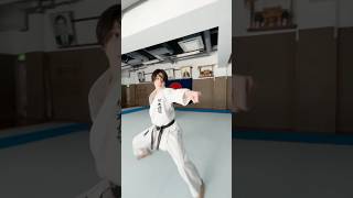 The beautiful and precise movements of karate [upl. by Orhtej926]