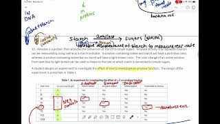 AP  Ch 235 pink prQs explained [upl. by See]