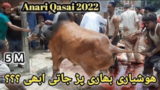 Anari Qasai 2022  Eid UL Azha [upl. by Anuaek]