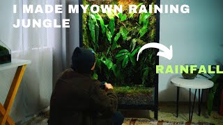 i turned my old cabinet into a raining forest  rainfall vivarium  rainfall terrarium [upl. by Hanonew830]