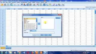 Reliability Analysis in SPSS [upl. by Herstein]